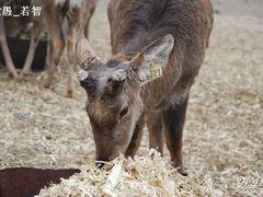 7-赛汗塔拉风情园