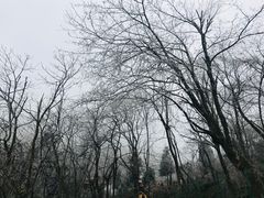 -九峰山