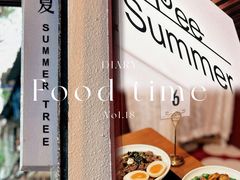 -树夏Tree Summer