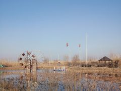 -泗洪洪泽湖湿地景区