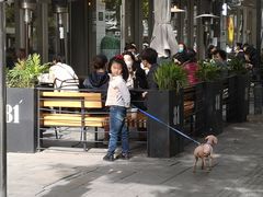 -81bakery(关山路店)
