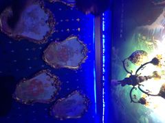 星宿秘码咖啡小酒馆(星宿秘码)-星宿秘码(鼓浪屿老店)