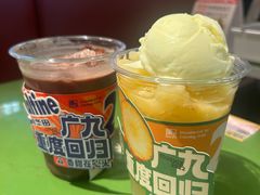 -广九餐室(陈家祠扬韬广场店)