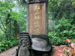 -青城山