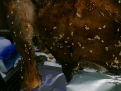 -沪上名羊天下•烤羊腿•东北烧烤•小龙虾(浦东直营总店)