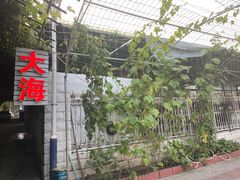 -大海别墅民宿农家院(十渡店)