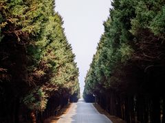 -秦始皇帝陵博物院-丽山园
