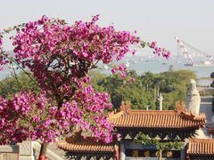 -南沙天后宫景区