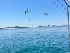 -那香海钻石沙滩浴场