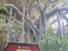-世外桃源农庄·德清土菜(兴康南路店)
