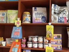 -艾贝尔宠物医院 ·内科全科(梁溪路店)