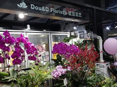 -豆豆花艺(新光天地店)