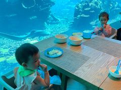 -海棠湾洲际-涛·海底餐厅·美人鱼·自助餐·海底隧道