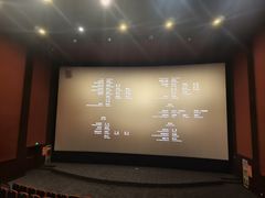 -华谊兄弟影院(IMAX洋桥店)