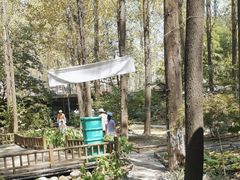 -林间山庄