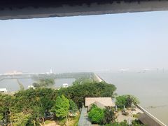 -大湾区中央湿地公园