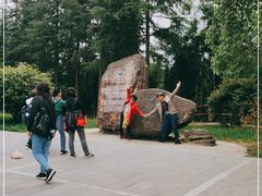 -龙水峡地缝景区