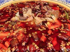 -院8里·小聚园老川菜(九眼桥店)