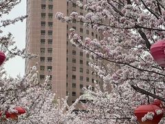 -科兴科学园