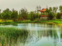-张家湾公园