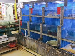 -鑫鸿达·海鲜闽菜热炒小馆(中山路店)
