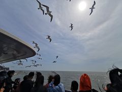 -海驴岛(荣成市)
