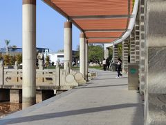 -石家庄市植物园