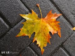 -杭州市第三人民医院