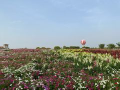 -歌斐颂巧克力小镇