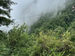 -苍山感通索道