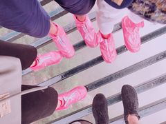 -梦幻奥陶纪景区