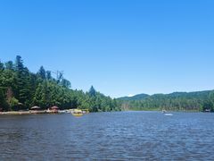 -五营红松林海景区