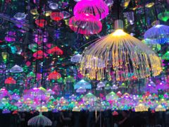 -上海梵高星空艺术馆(南京路旗舰店)