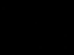 -紫燕百味鸡(南京西路店)