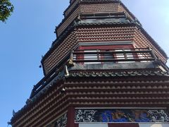 -顺峰山公园