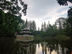 -习家池