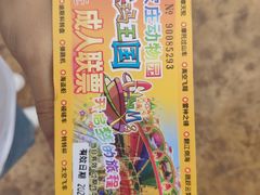 -辛玛王国游乐园