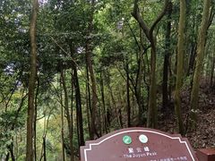 -缙云山景区