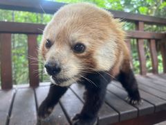 -Torch Coffee 炬点咖啡