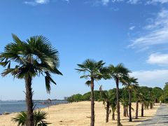 -艾溪湖湿地公园