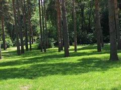 -黑龙江省森林植物园