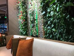 靠窗位-Peet's 皮爷咖啡(东湖路手作店)