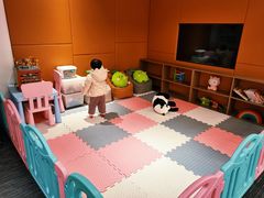 -青岛鸿发智越领克新能源中心