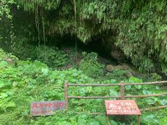 -海口火山口国家地质公园