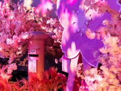 -正佳雨林生态植物园