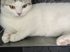 -佳雯宠物医院(四明中路分院)