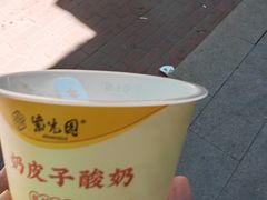 -紫光园·烤鸭(京旺家园店)