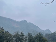 -青城山