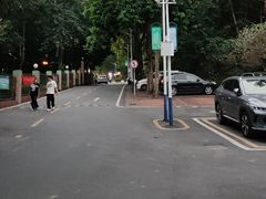 -火炉山森林公园