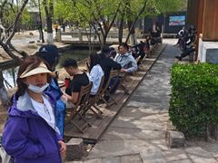 -春风习习